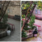 فضای سبز و محل استراحت هنرجویان آموزشگاه موج نو